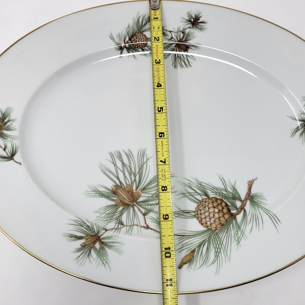 Rosenthal Germany Pine Needles Selb-Plossberg Aida Large Oval 15" Platter Dish - Picture 6 of 6